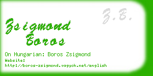 zsigmond boros business card